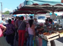 Marché hebdomadaire de Moulins-Engilbert