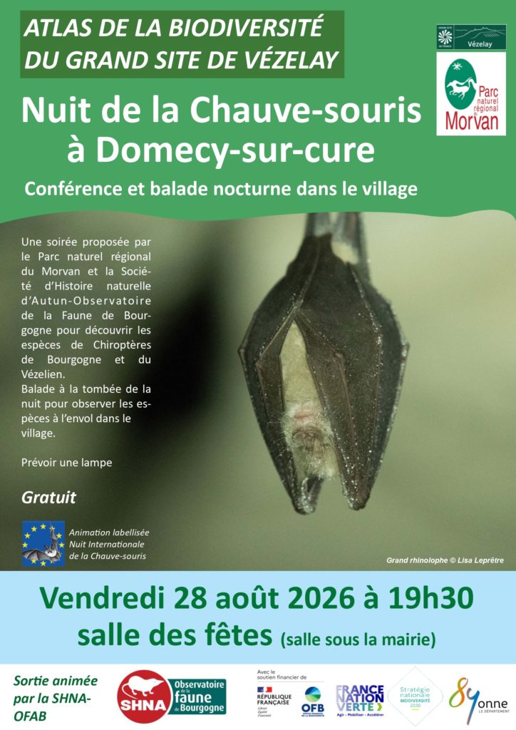 photo evenement