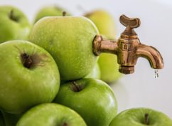 Pressage de pommes