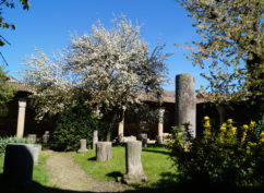 Journées Européennes du Patrimoine : Visite guidée du jardin lapidaire