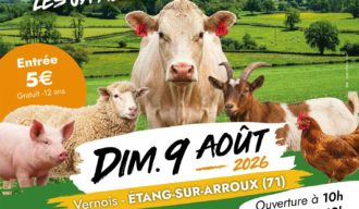 image actualité