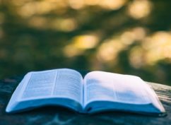 Exposition : « Voici un livre »