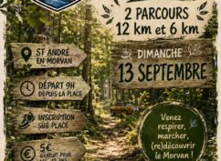 Rassemblement automobile