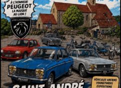 Rassemblement automobile