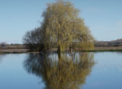 Exposition « L&rsquo;eau dans tous ses états » par Delphine Guyon