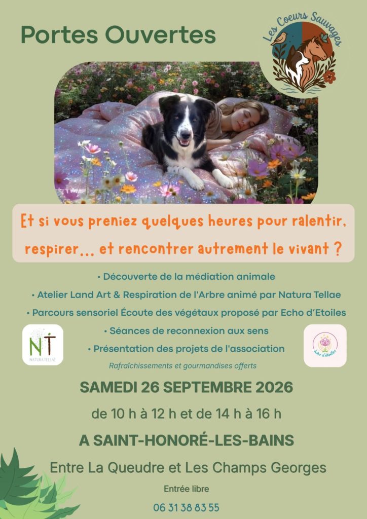 photo evenement