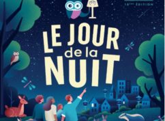 Le jour de la nuit à Bibracte