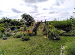 Bienvenue dans mon jardin au naturel : à Arnay-le-Duc !