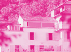 Rencontre à la maison Zervos