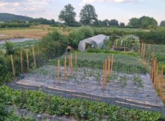 Portes Ouvertes des Tiers Lieux : Visite du potager