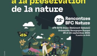 image actualité