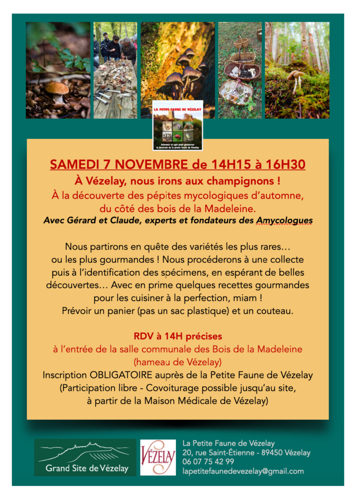 photo evenement