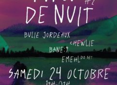 Paon de Nuit #2