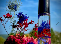 Atelier découverte parfum