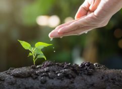 Chantier Participatif d’Agroforesterie – « Plantons des arbres ensemble ! »