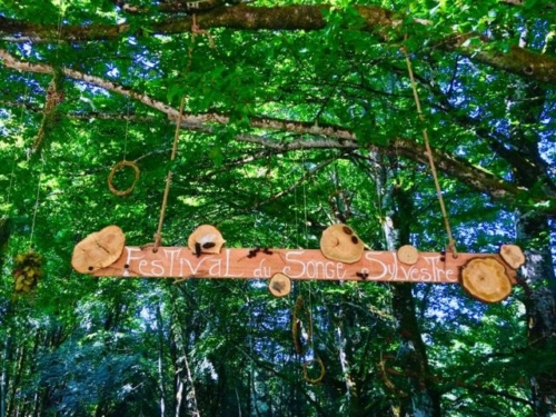 <h4><b>14 - TERRABITAT </b><br> Organisation 2ème édition Festival du Songe Sylvestre<br>_</h4>